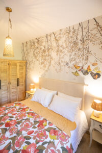 Au petit Mas. Location maison avec piscine à St rémy de provence