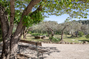 Au petit Mas. Location maison avec piscine à St rémy de provence