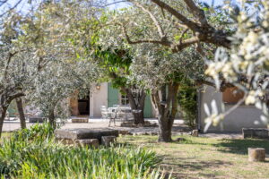 Au petit Mas. Location maison avec piscine à St rémy de provence