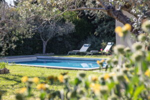 Au petit Mas. Location maison avec piscine à St rémy de provence