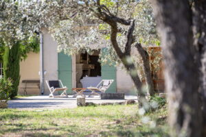 Au petit Mas. Location maison avec piscine à St rémy de provence