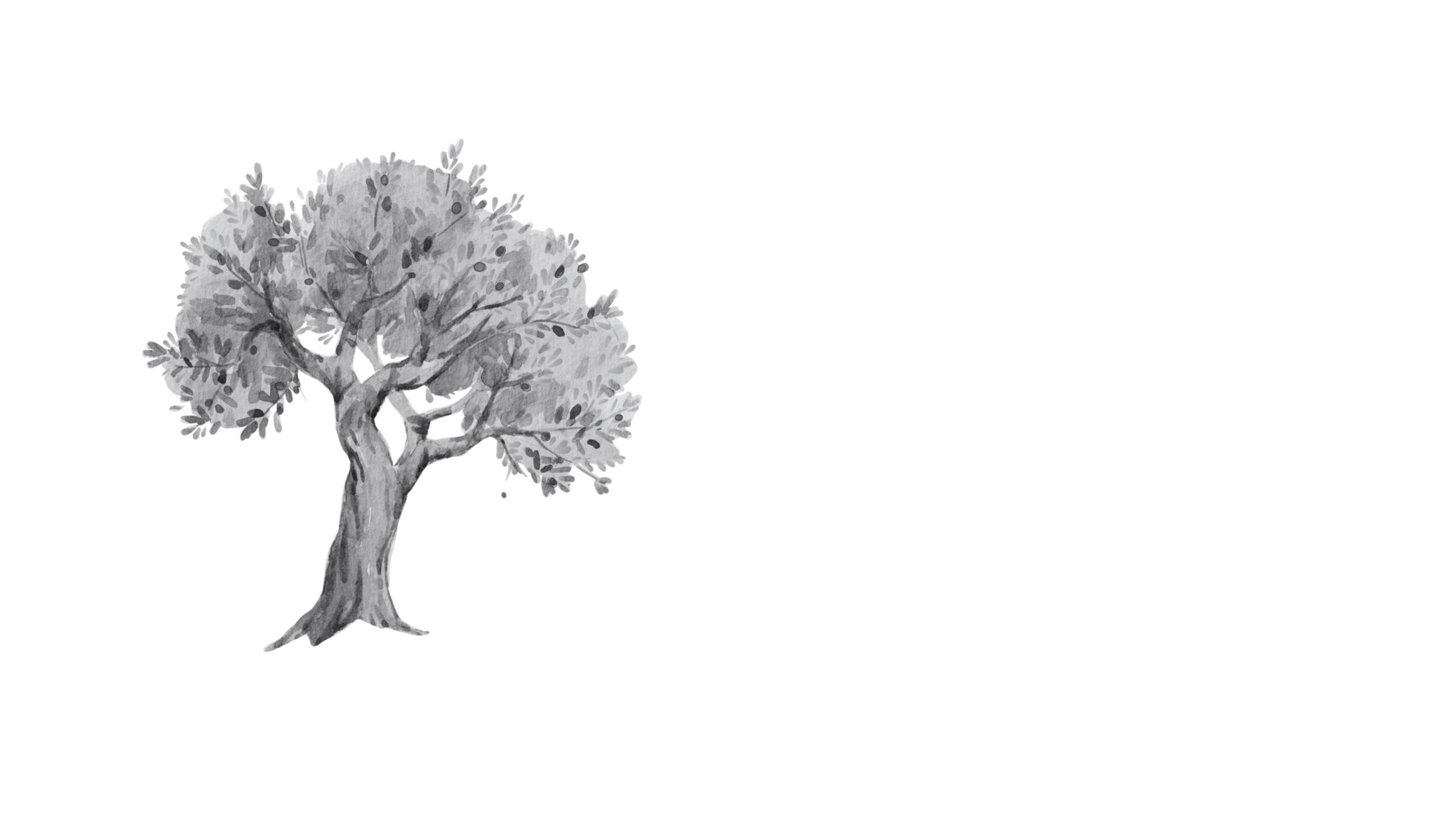 Au petit Mas. Location maison avec piscine à St rémy de provence